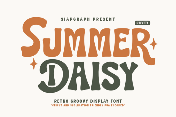 Summer Daisy: A Retro Display Font for Creative Projects